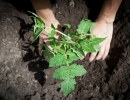 ked3844_resize