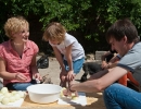 ked3855_resize