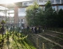 kkert20120505_0031
