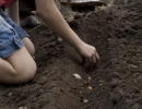 kkert20120505_0034