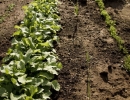 kkert20120505_0050
