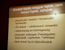 img_7364_resize